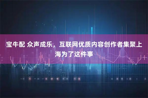 宝牛配 众声成乐，互联网优质内容创作者集聚上海为了这件事