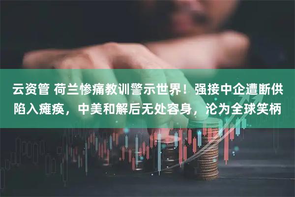 云资管 荷兰惨痛教训警示世界！强接中企遭断供陷入瘫痪，中美和解后无处容身，沦为全球笑柄