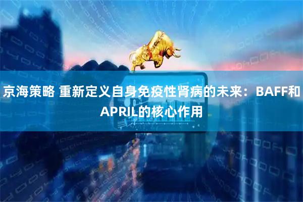 京海策略 重新定义自身免疫性肾病的未来：BAFF和APRIL的核心作用