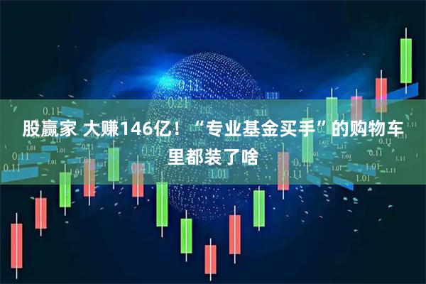 股赢家 大赚146亿！“专业基金买手”的购物车里都装了啥