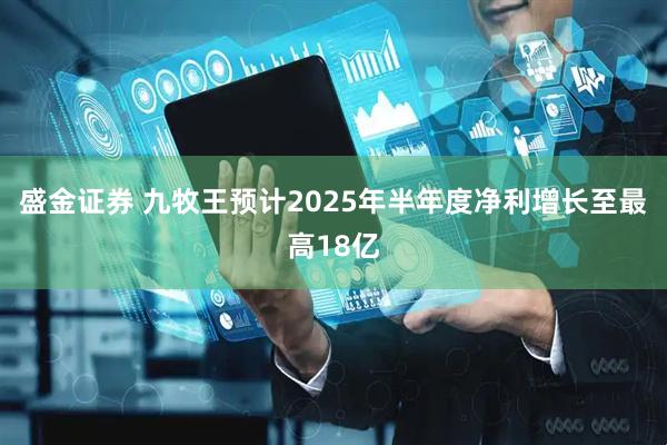 盛金证券 九牧王预计2025年半年度净利增长至最高18亿
